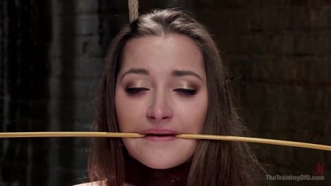 Dani Daniels est soumise à un entraînement BDSM intense