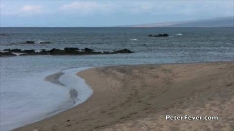 Bobvoyeur gay bronzant nu à Hawaii